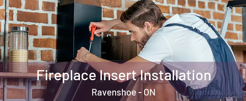  Fireplace Insert Installation Ravenshoe - ON