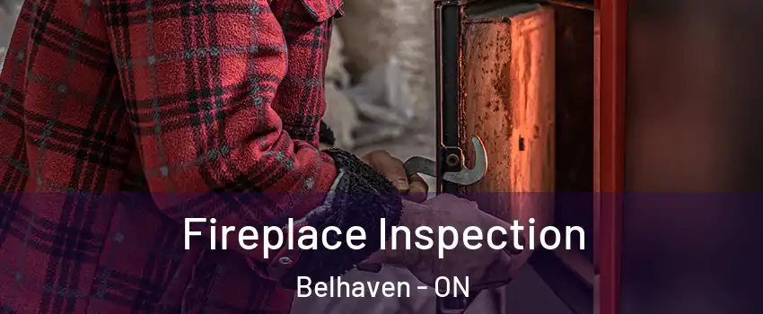  Fireplace Inspection Belhaven - ON