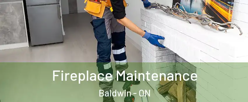  Fireplace Maintenance Baldwin - ON