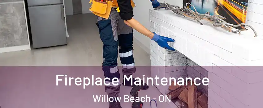  Fireplace Maintenance Willow Beach - ON