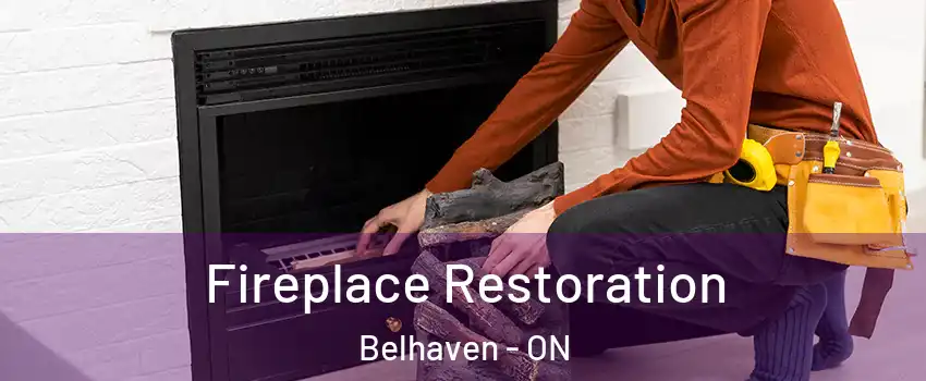  Fireplace Restoration Belhaven - ON
