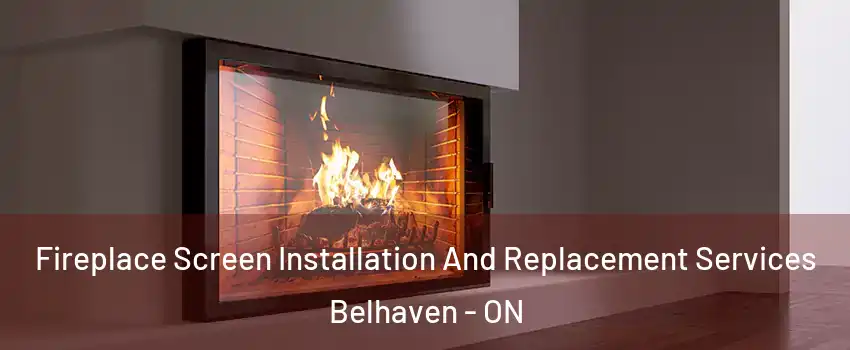  Fireplace Screen Installation And Replacement Services Belhaven - ON