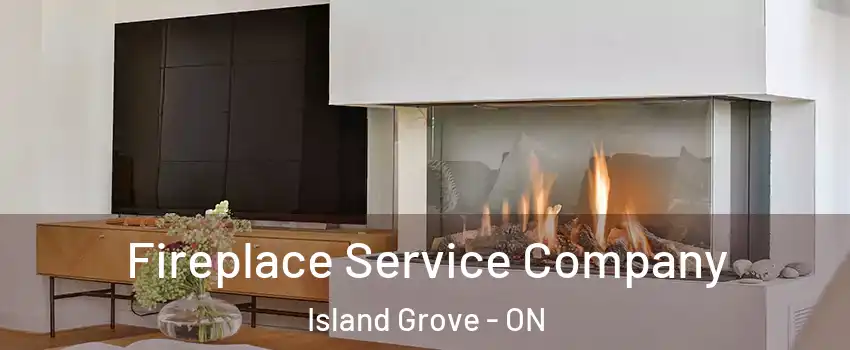  Fireplace Service Company Island Grove - ON