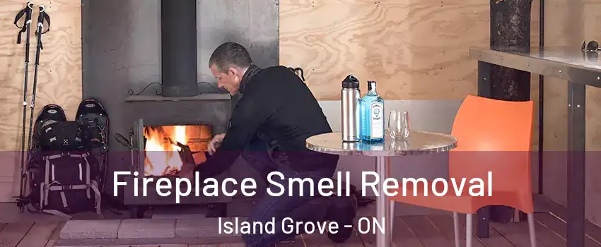  Fireplace Smell Removal Island Grove - ON