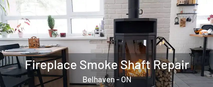  Fireplace Smoke Shaft Repair Belhaven - ON