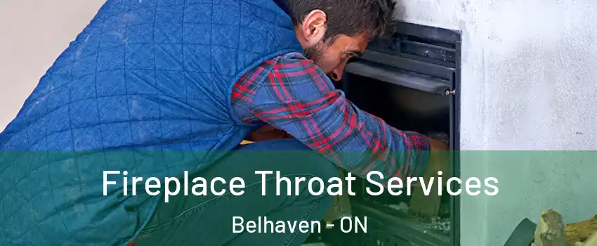  Fireplace Throat Services Belhaven - ON