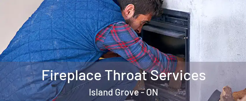  Fireplace Throat Services Island Grove - ON