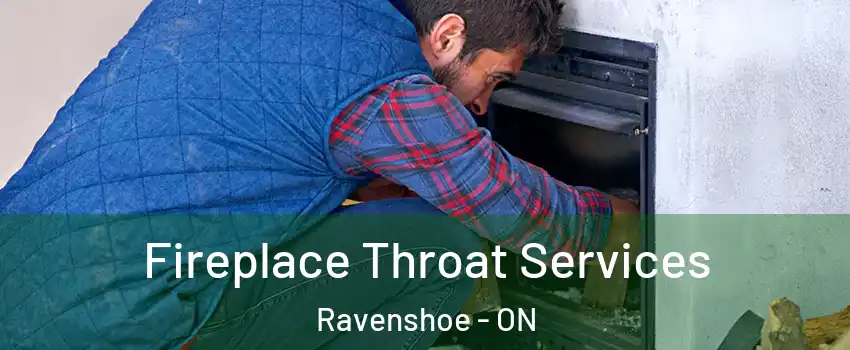  Fireplace Throat Services Ravenshoe - ON