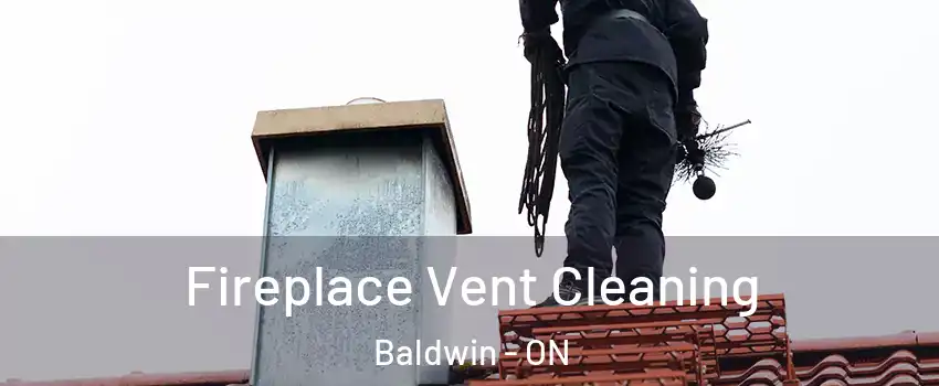  Fireplace Vent Cleaning Baldwin - ON