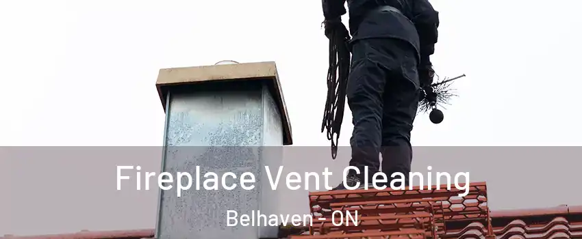  Fireplace Vent Cleaning Belhaven - ON