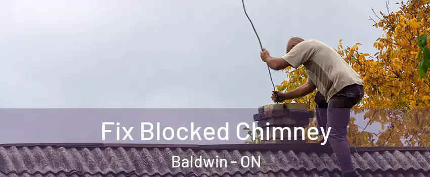  Fix Blocked Chimney Baldwin - ON