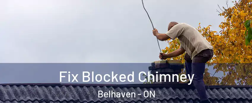  Fix Blocked Chimney Belhaven - ON