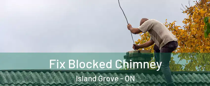  Fix Blocked Chimney Island Grove - ON