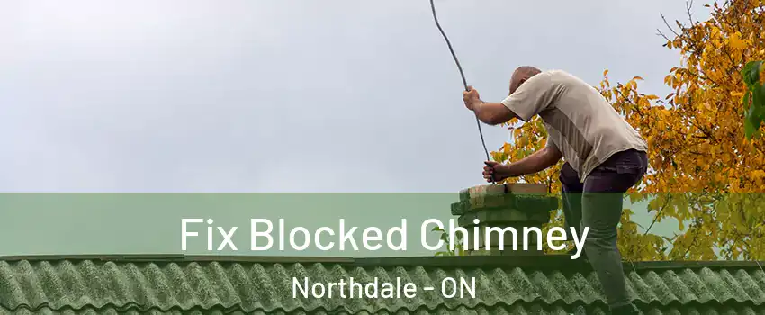  Fix Blocked Chimney Northdale - ON