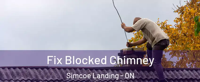  Fix Blocked Chimney Simcoe Landing - ON
