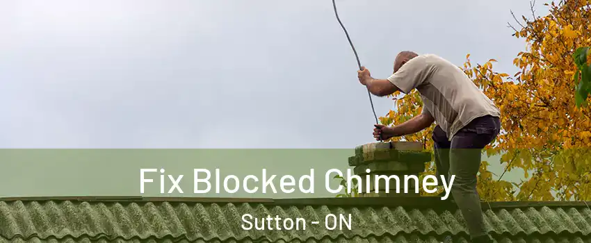  Fix Blocked Chimney Sutton - ON