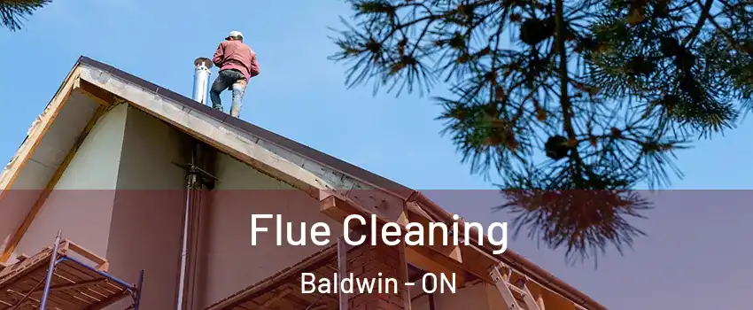  Flue Cleaning Baldwin - ON