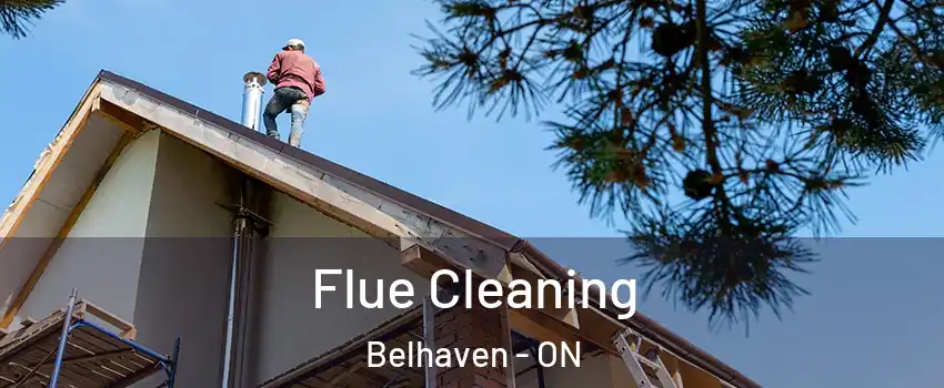  Flue Cleaning Belhaven - ON
