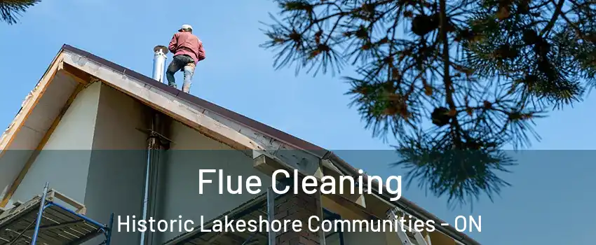  Flue Cleaning Historic Lakeshore Communities - ON