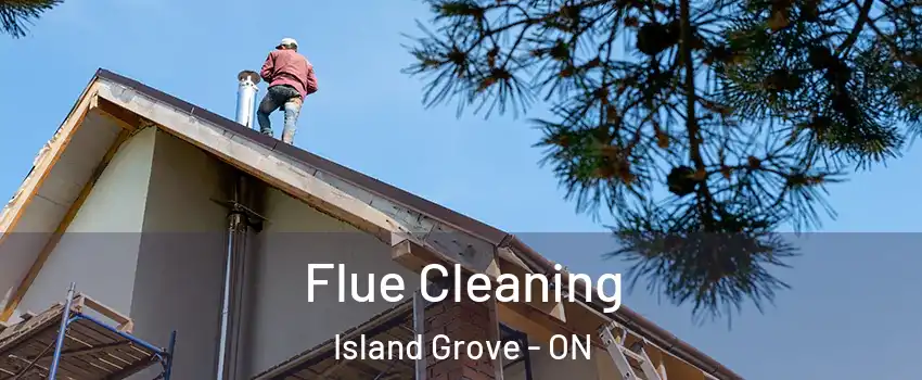  Flue Cleaning Island Grove - ON
