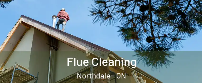  Flue Cleaning Northdale - ON