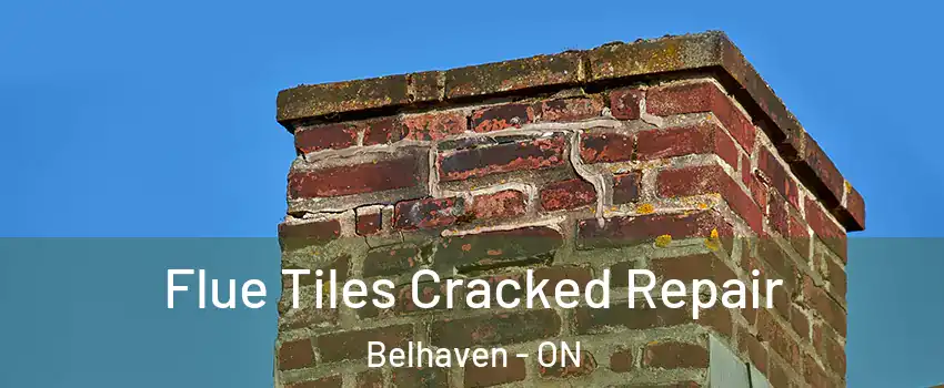  Flue Tiles Cracked Repair Belhaven - ON