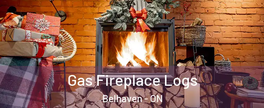  Gas Fireplace Logs Belhaven - ON