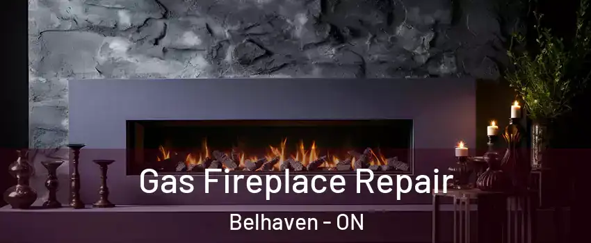  Gas Fireplace Repair Belhaven - ON