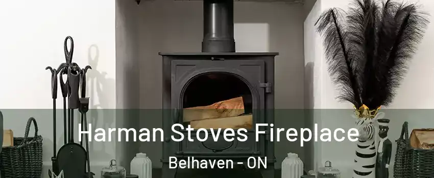  Harman Stoves Fireplace Belhaven - ON