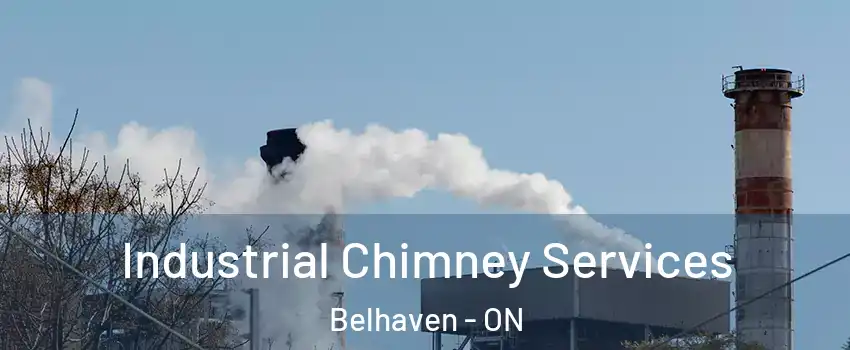  Industrial Chimney Services Belhaven - ON