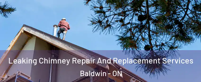  Leaking Chimney Repair And Replacement Services Baldwin - ON
