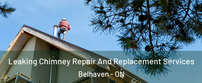  Leaking Chimney Repair And Replacement Services Belhaven - ON