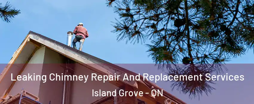  Leaking Chimney Repair And Replacement Services Island Grove - ON