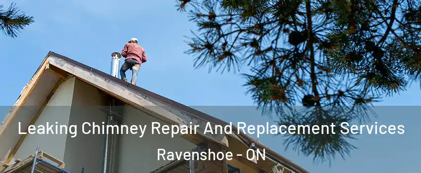  Leaking Chimney Repair And Replacement Services Ravenshoe - ON