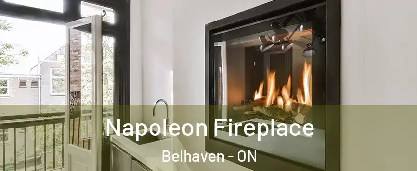  Napoleon Fireplace Belhaven - ON