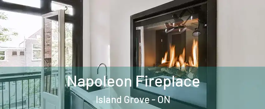  Napoleon Fireplace Island Grove - ON
