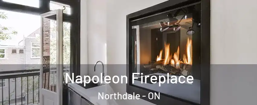  Napoleon Fireplace Northdale - ON