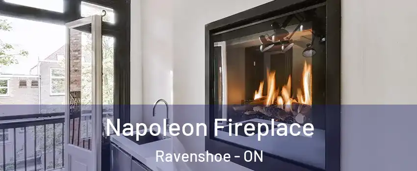  Napoleon Fireplace Ravenshoe - ON