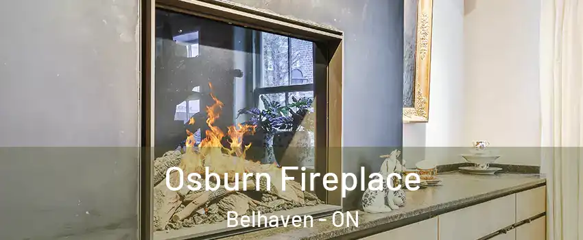  Osburn Fireplace Belhaven - ON