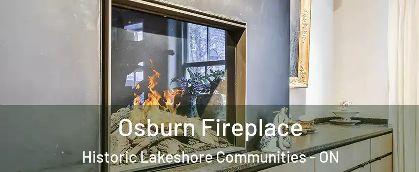  Osburn Fireplace Historic Lakeshore Communities - ON