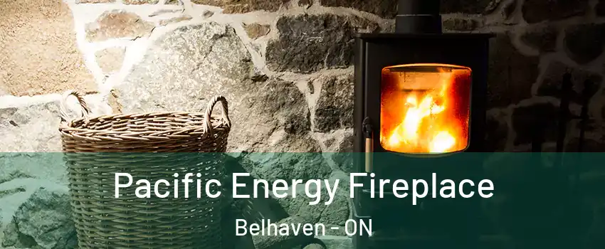  Pacific Energy Fireplace Belhaven - ON