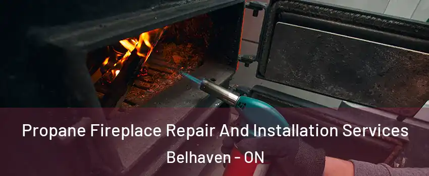  Propane Fireplace Repair And Installation Services Belhaven - ON