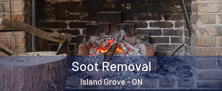  Soot Removal Island Grove - ON
