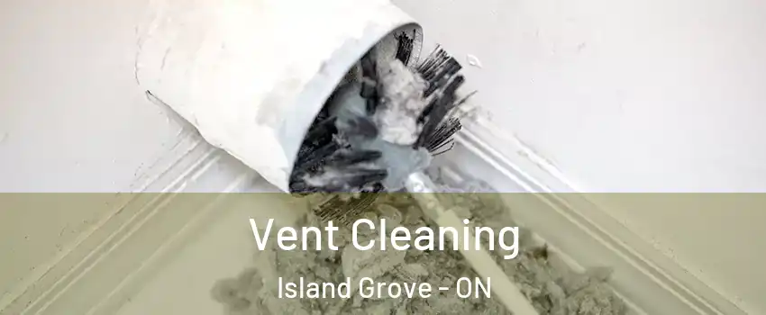  Vent Cleaning Island Grove - ON