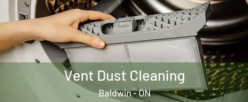  Vent Dust Cleaning Baldwin - ON