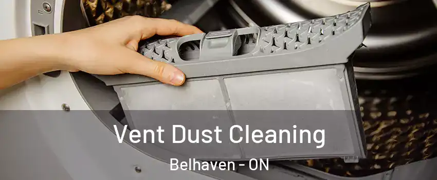  Vent Dust Cleaning Belhaven - ON