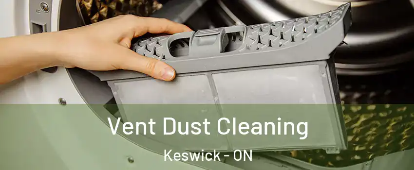  Vent Dust Cleaning Keswick - ON