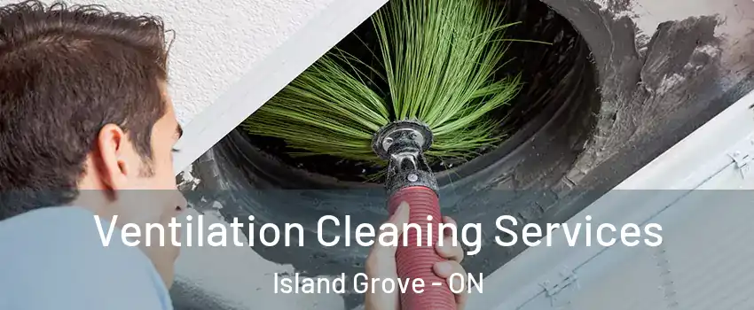  Ventilation Cleaning Services Island Grove - ON