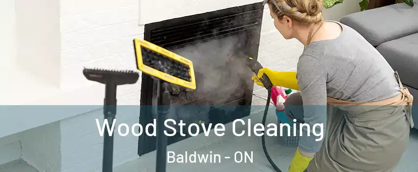  Wood Stove Cleaning Baldwin - ON