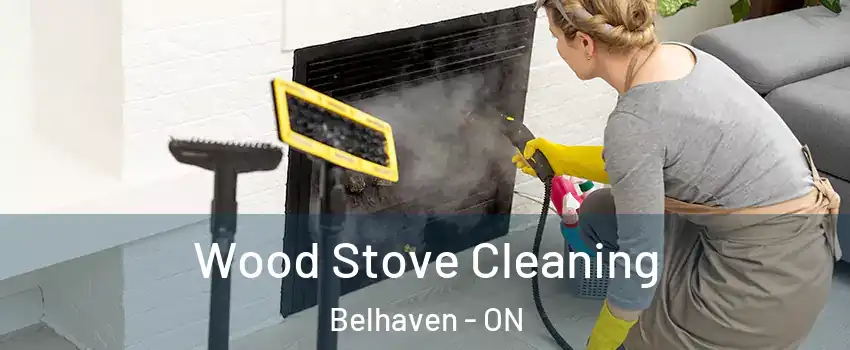  Wood Stove Cleaning Belhaven - ON